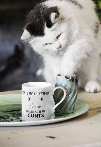 Cats Are My Favourite Because People Are Cunts