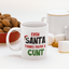 Even Santa Thinks You're A Cunt